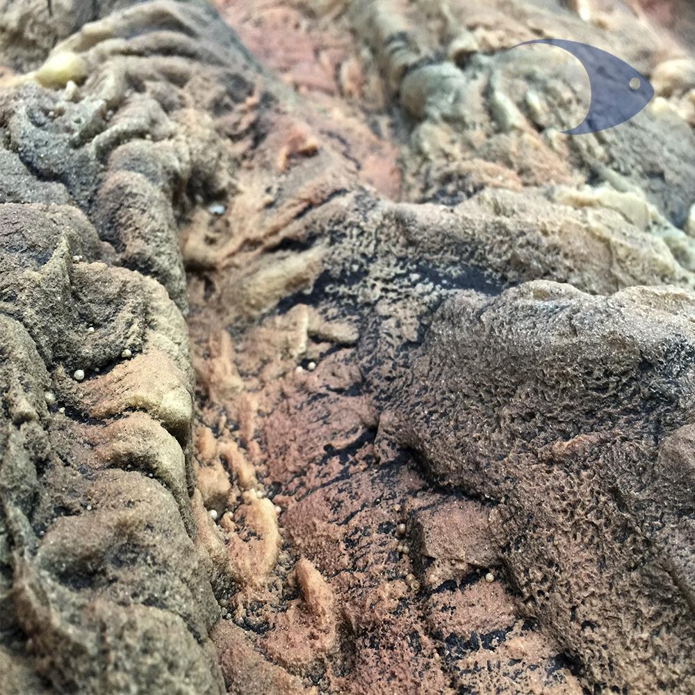 Fondo rocoso Canyon Rock-180cm x 60cm, Café