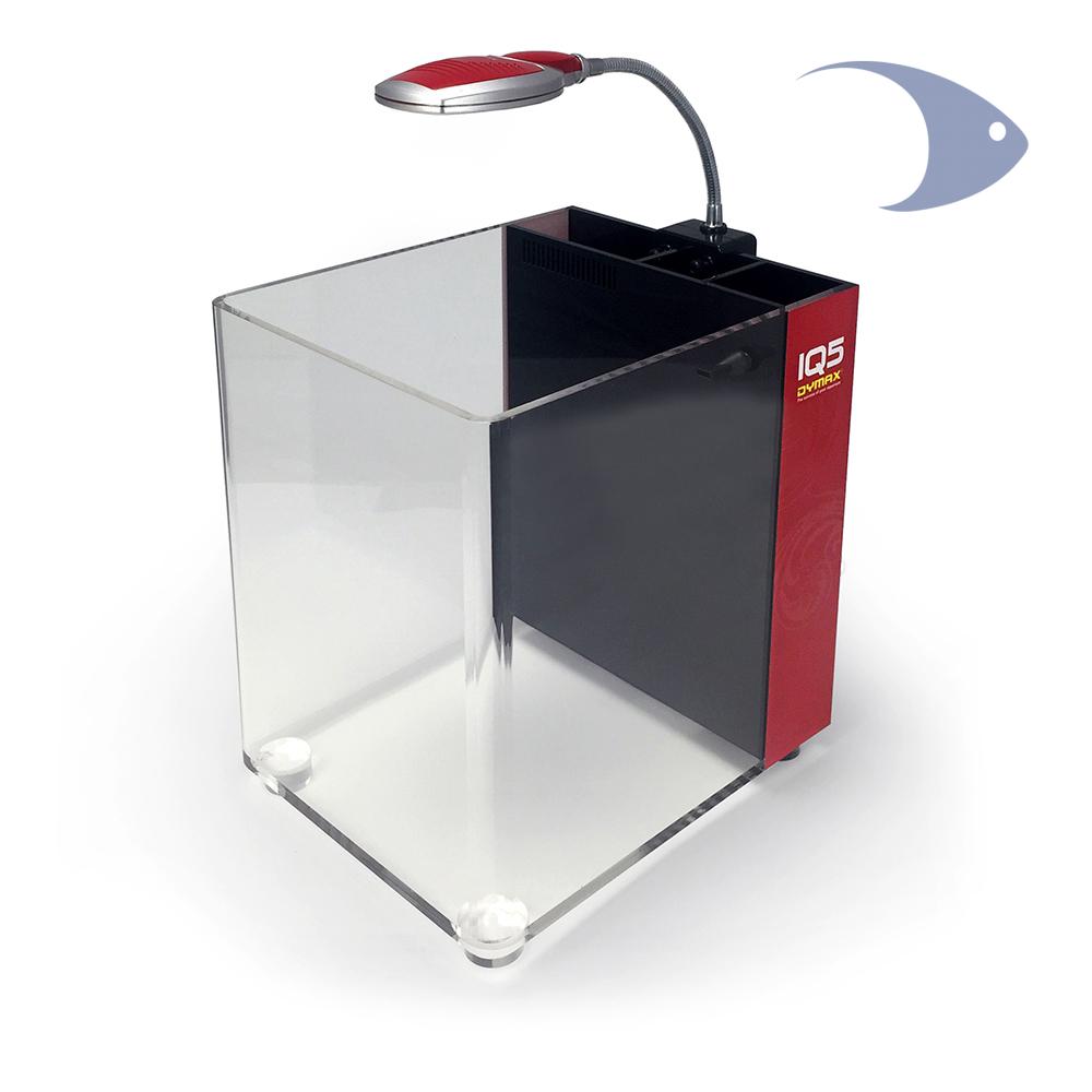 Mini Acuario acrílico c/filtro y lámpara LED grad blanco-azul, 13 litros IQ5 Rubí rojo