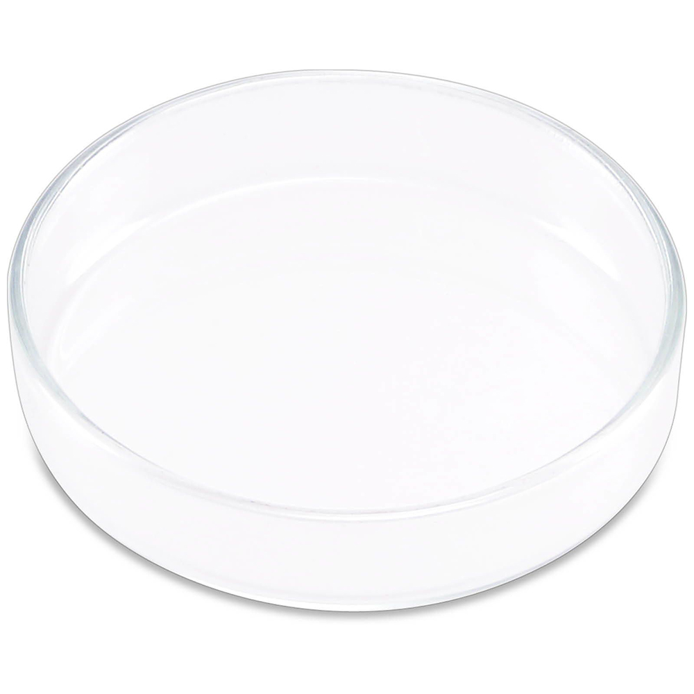 Plato de cristal para alimentar camarones y peces